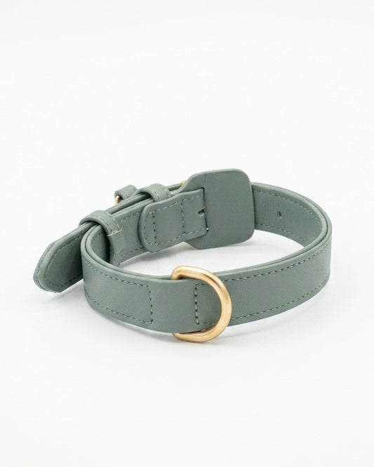 The BlueSky Collar
