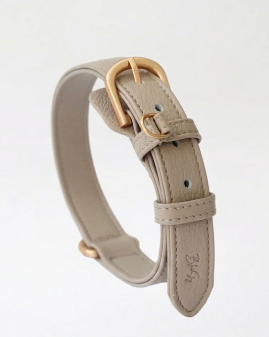 The Latte Collar