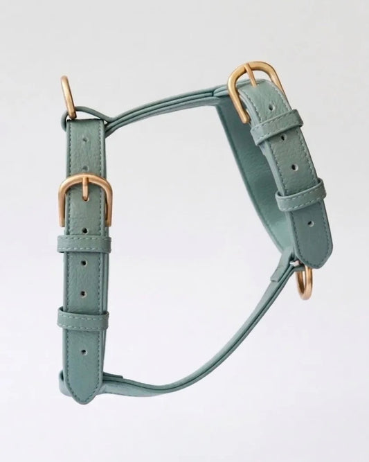 The BlueSky Harness