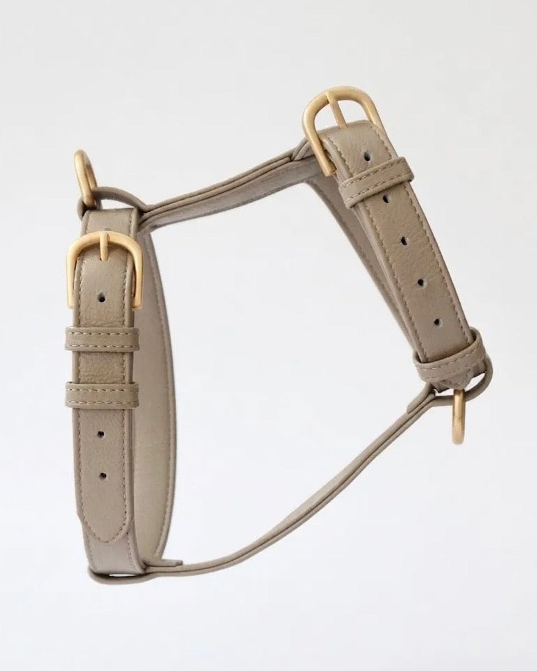The Latte Harness